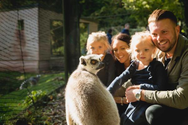 Paignton Zoo lemur family friendly activity