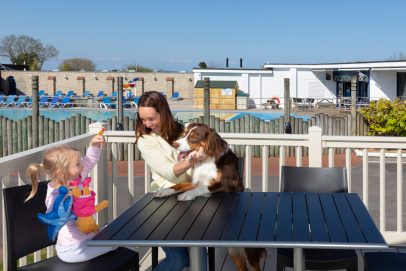 The Ultimate Guide to a Dog-Friendly Devon Holiday with Beverley Holidays