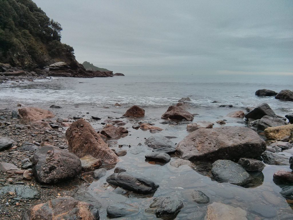 meadfoot beach rock pools
