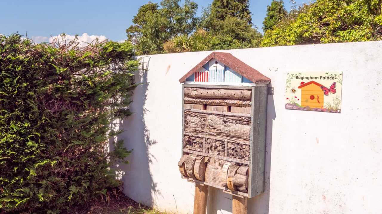 Bugingham Palace, Nature. Eco Tourism. Nature Walk