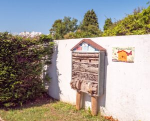 Bugingham Palace, Nature. Eco Tourism. Nature Walk