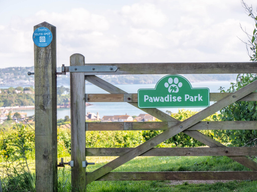 Pawadise Park Dog. dog friendly holidays in Devon