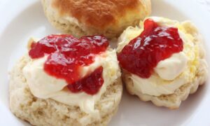 Things to do in Devon. Devon Cream tea. Scone