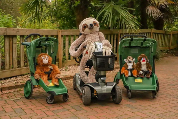Paignton Zoo