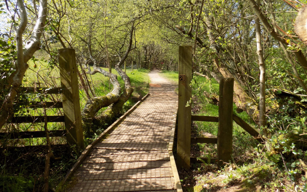 Occombe Farm
