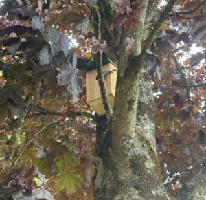 Bird Nesting Box. Nature Walk