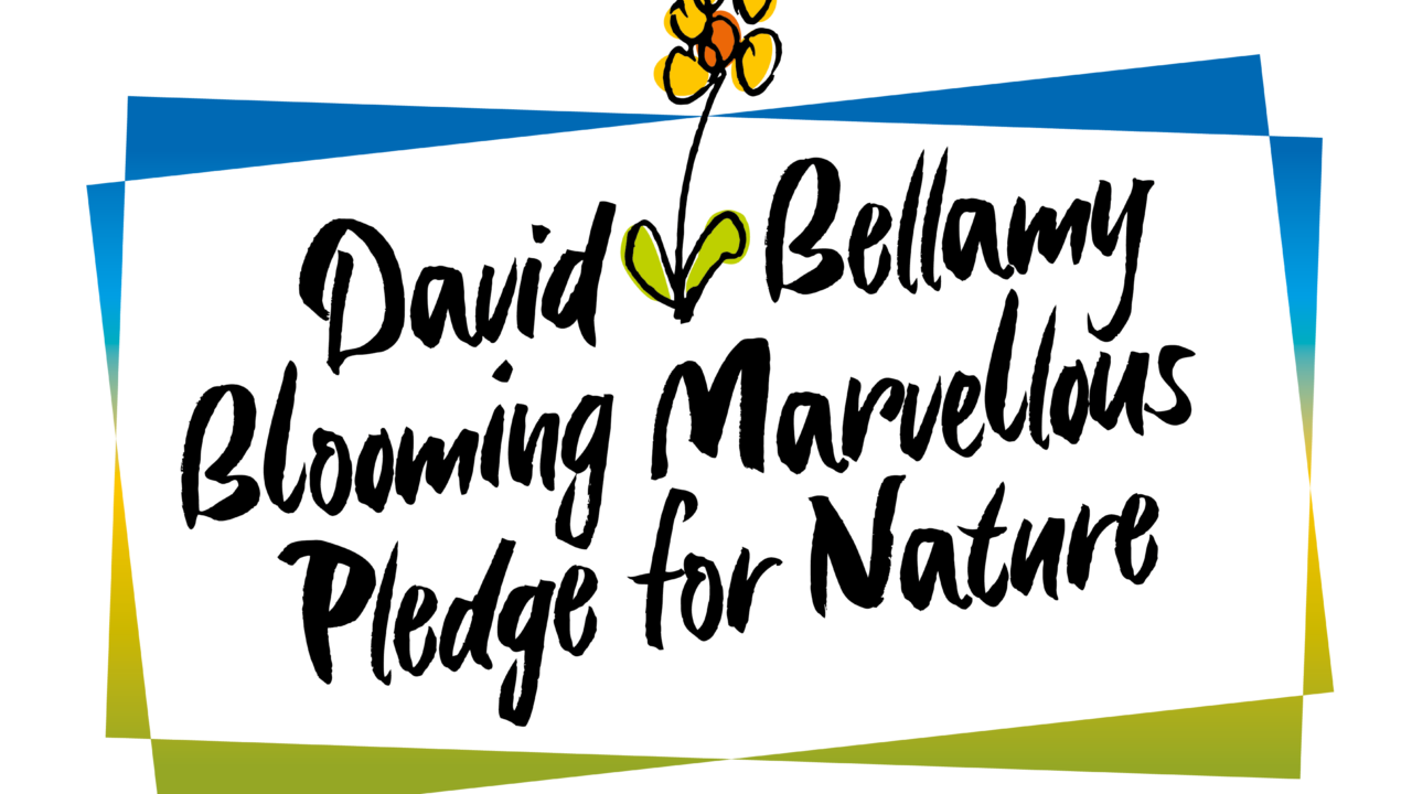 David Bellamy Blooming Marvellous Pledge for Nature