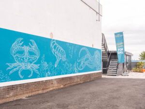 Mural Wall. Nature Walk. Sammy the Seal and friends