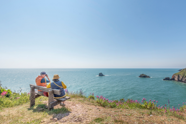 Walks around Brixham - Berry head