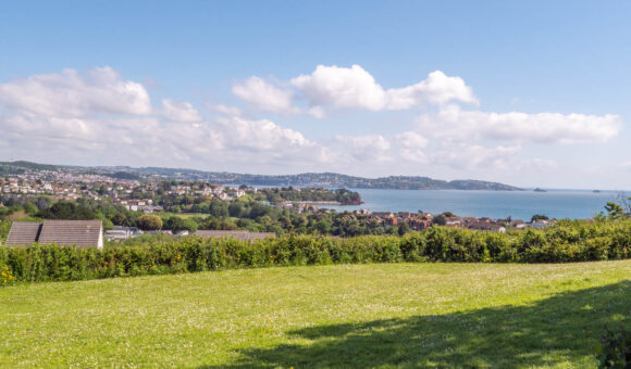 Local Walks