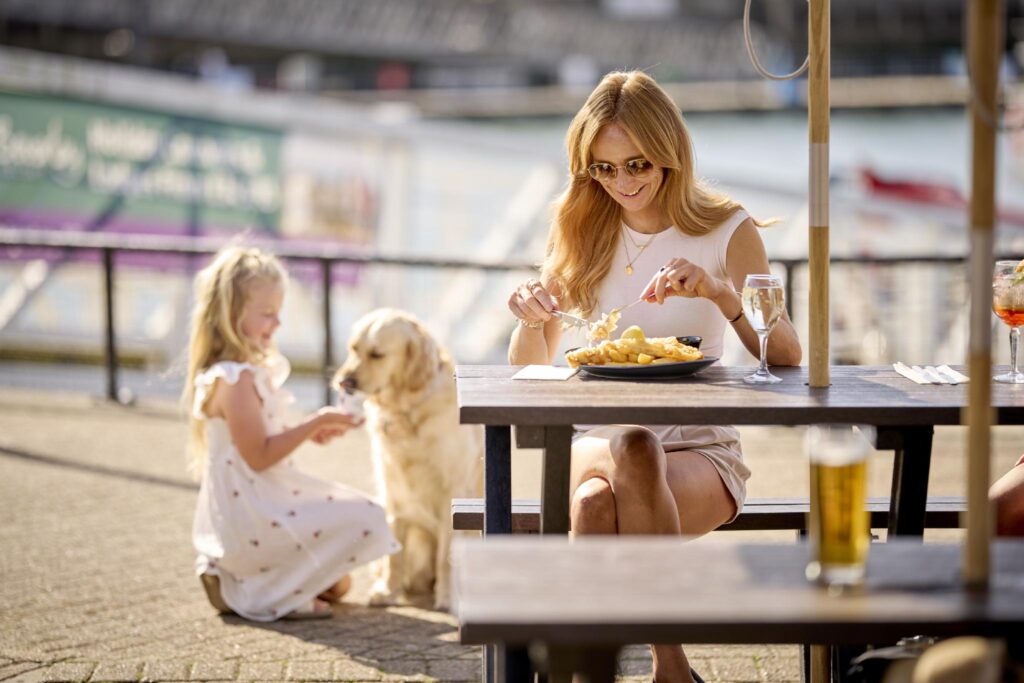 Dog friendly holidays in Devon