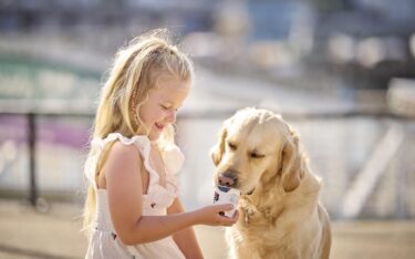 Dog friendly stays in Devon