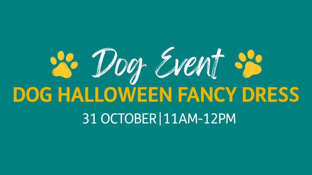 Dog Halloween Fancy Dress Competition
