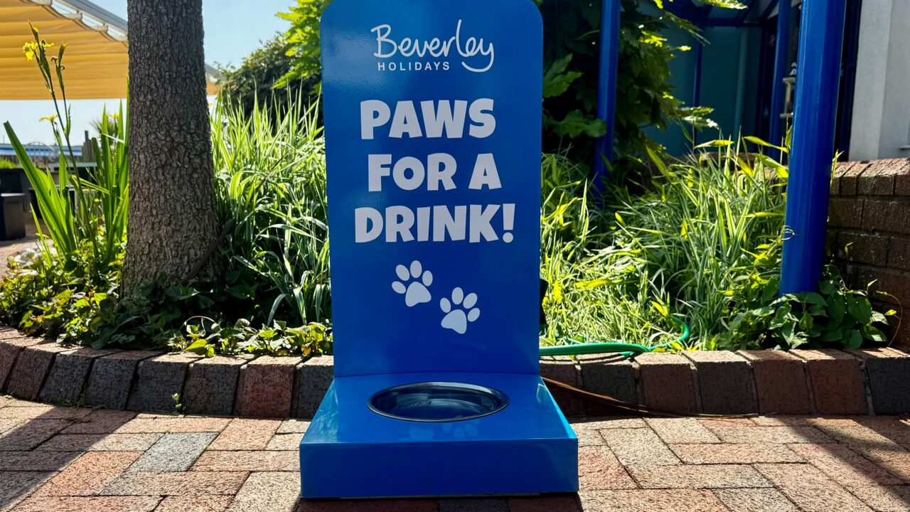 Paws for a Drink dog water station